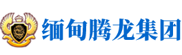 腾龙集团